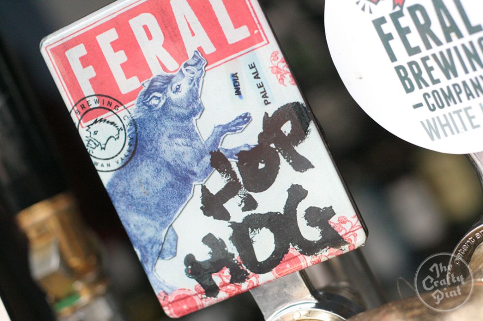 Feral Brewing Tap Takeover at Quarryman's Hotel