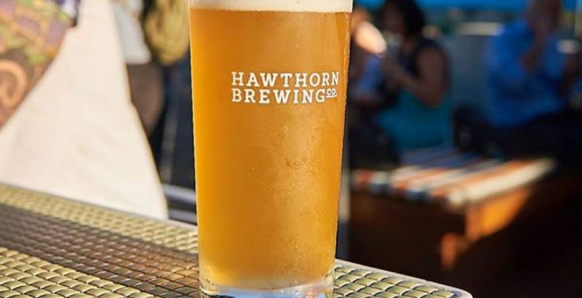 Hawthorn Brewing Are Hiring A Sales & Marketing Manager