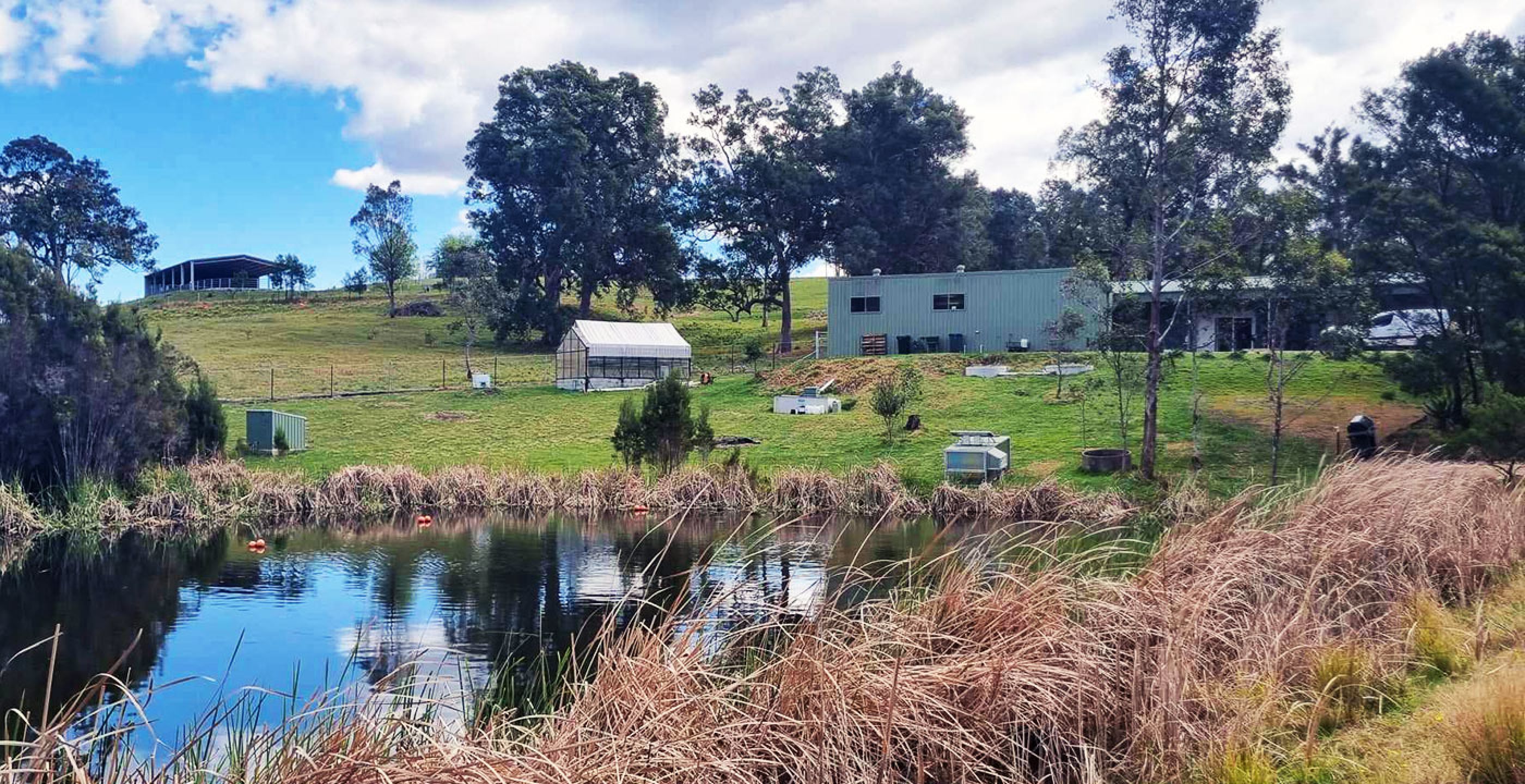 Going Green: Frogs Hollow&#039;s Off-Grid Brewery