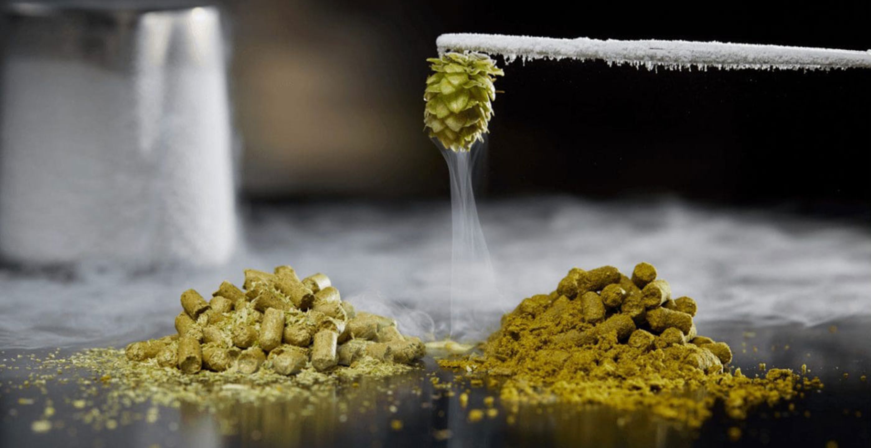 In Hop Pursuit: A Guide To New Hop Products