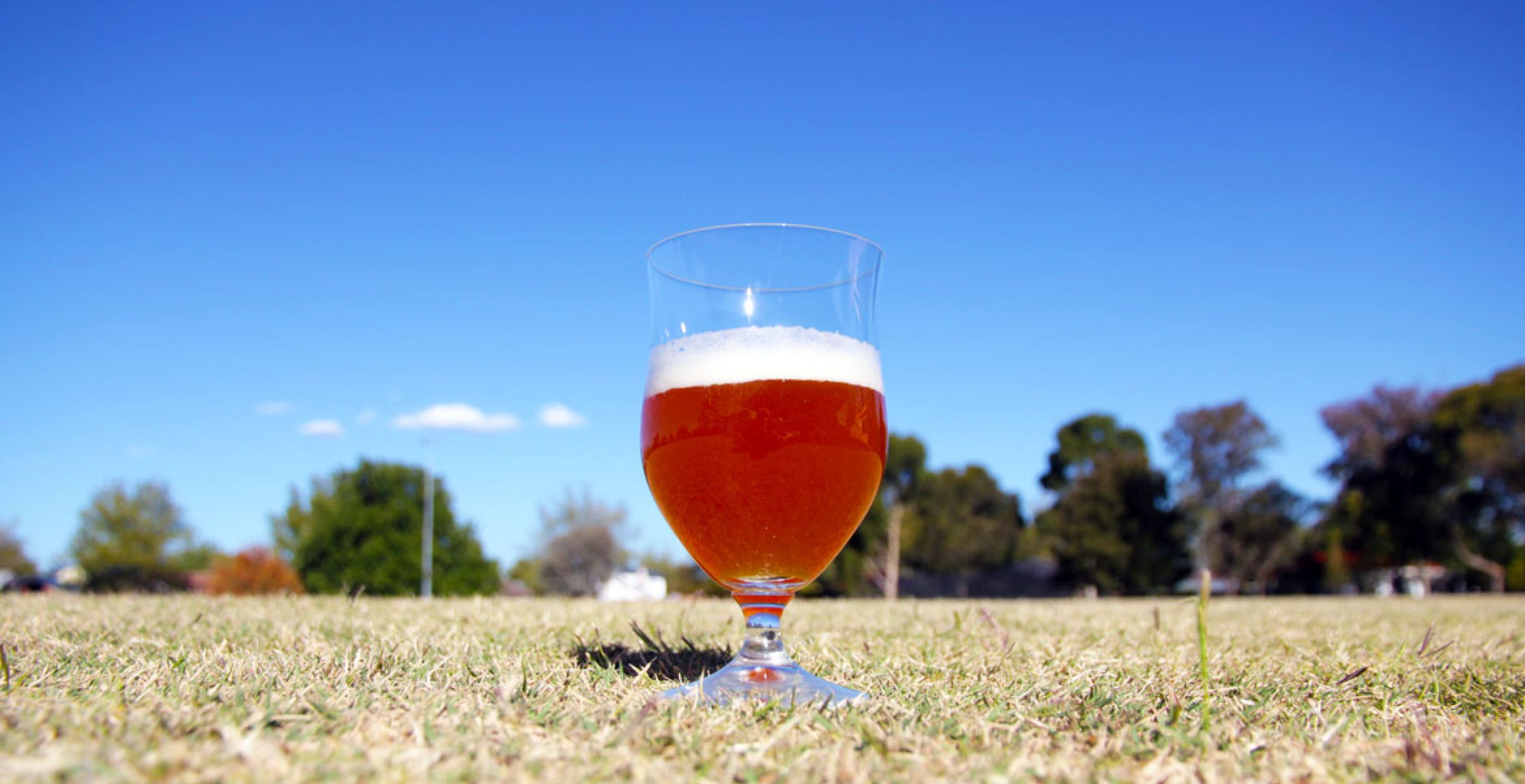 The Crafty Six: Alternative Summer Beers