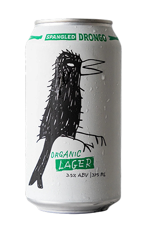 Spangled Drongo Organic Lager