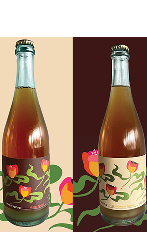 Bodriggy Reverse Spring Shiraz & Chardonnay