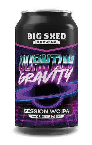Big Shed Quantum Gravity Session WCIPA