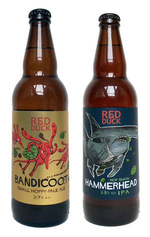 Red Duck Bandicoot & Hammerhead