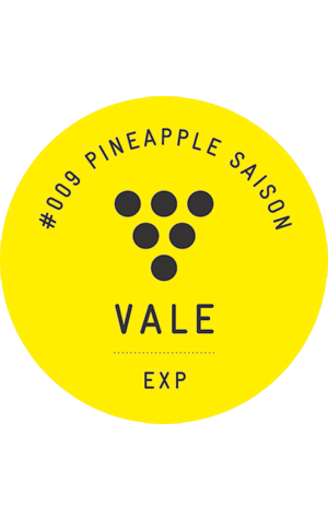 Vale Brewing EXP #009: Pineapple Saison