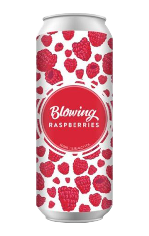 New England Brewing Co Blowing Raspberries