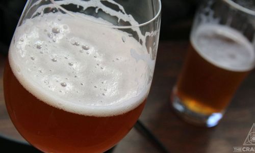 The 2022 Australian Craft Beer Survey Launches