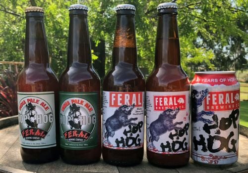 The Story Of: Hop Hog At Ten