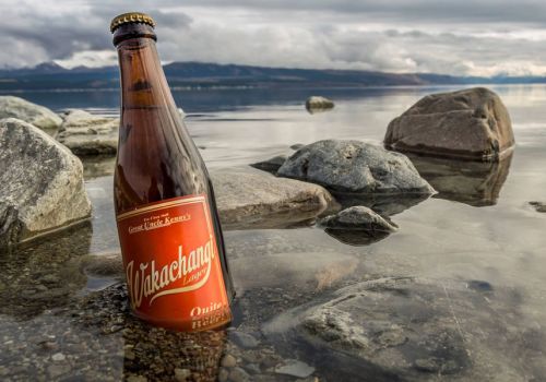 Behind The Hottest 100 Kiwi Beers Of 2017