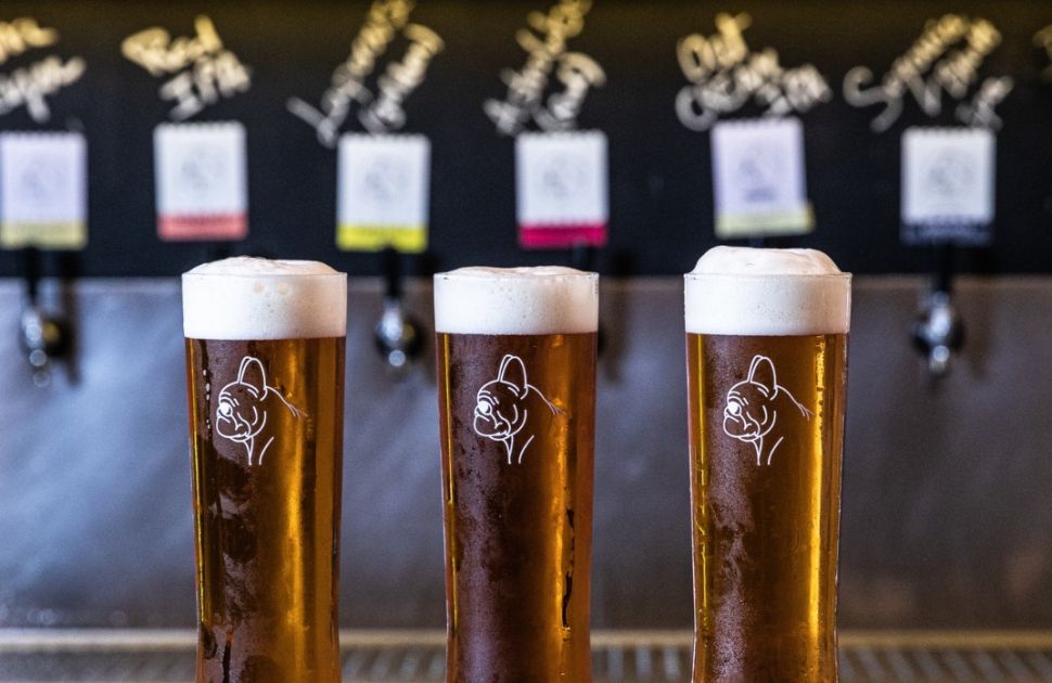 Meet The Brewer: Frenchies at The Beer Bar