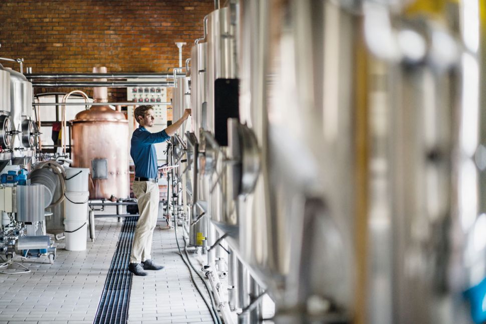 Fermentis Webinar: How To Produce Dry and Aromatic Beer