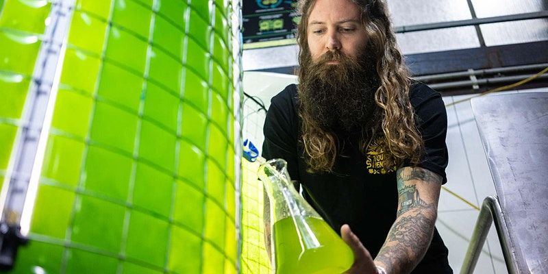 Beer & Algae: Brewing A Greener Future