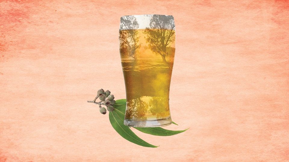 Beers To The Bush Returns To Dubbo (NSW)