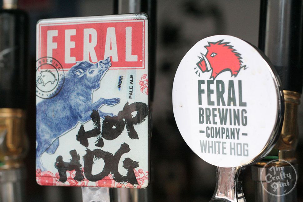 Feral Tap Takeover at Forest Lodge Hotel