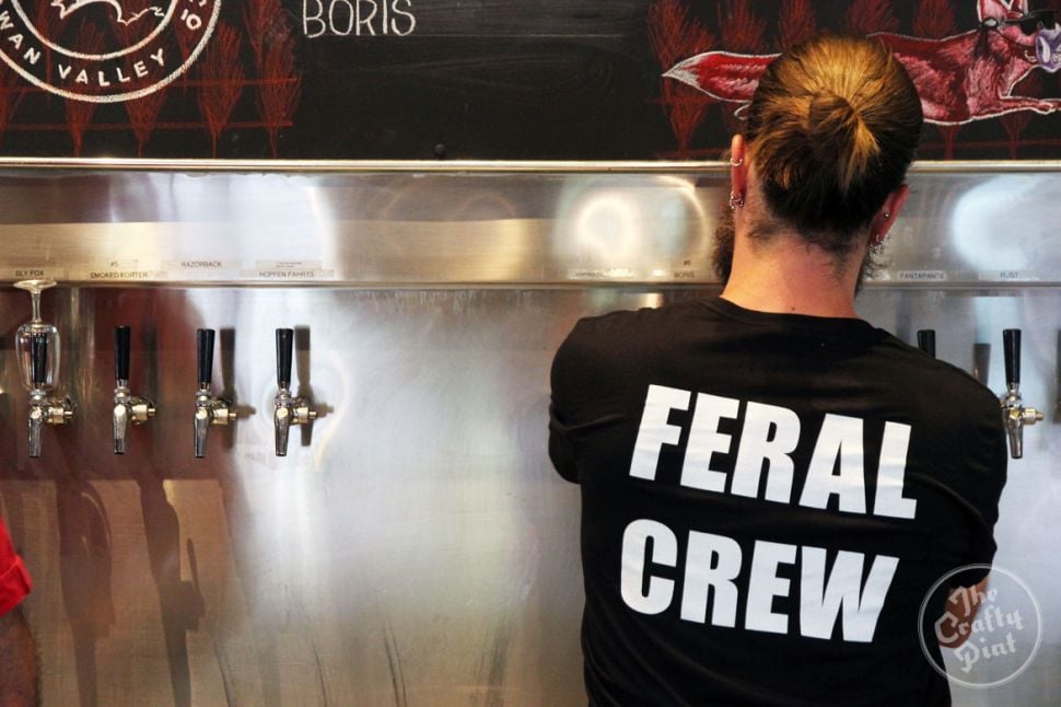 Victorian Sales Rep Wanted for Feral Brewing