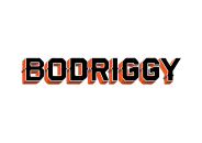 Bodriggy Brewing Co